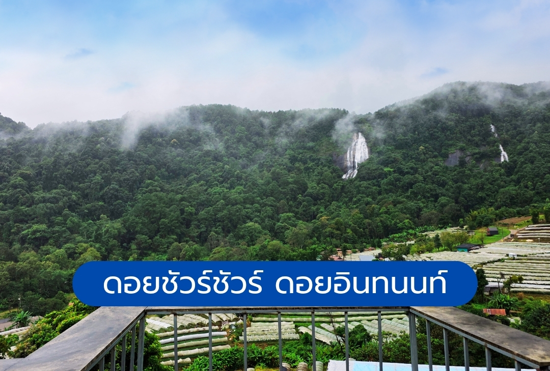ดอยชัวร์ชัวร์ ดอยอินทนนท์