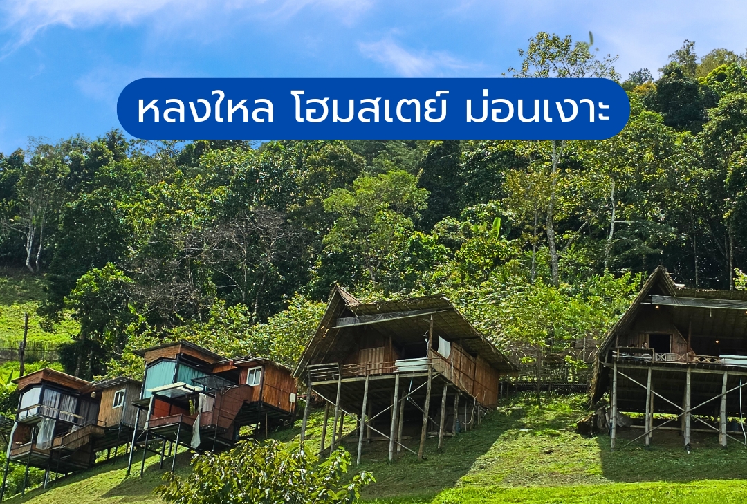 หลงใหล โฮมสเตย์ ม่อนเงาะ