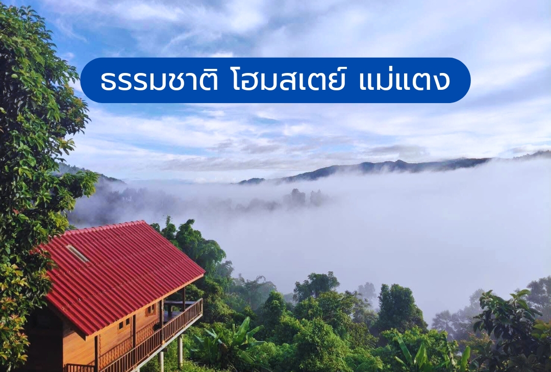 ธรรมชาติ โฮมสเตย์ แม่แตง