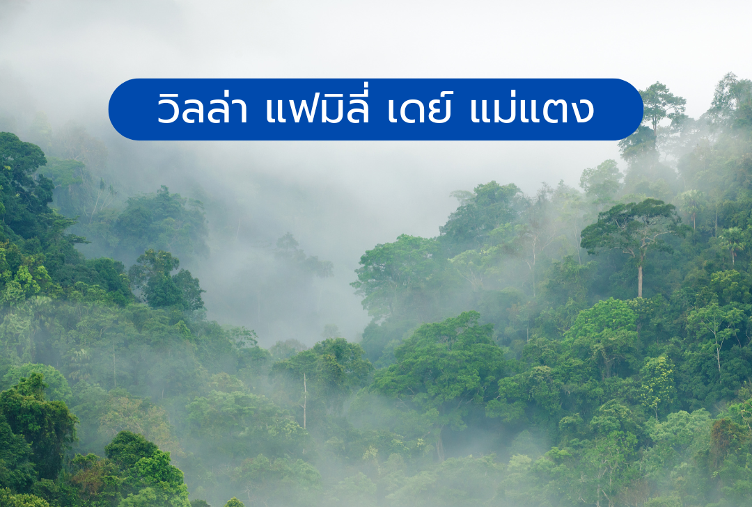 วิลล่า แฟมิลี่ เดย์ แม่แตง