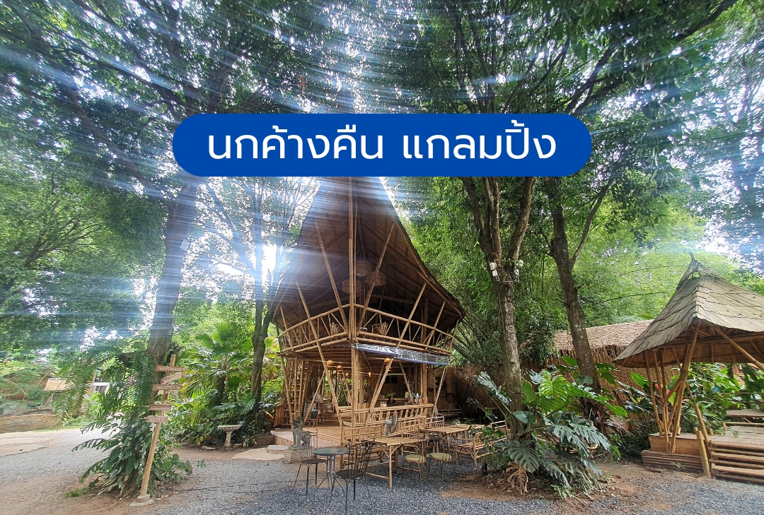 นกค้างคืน แกลมปิ้ง