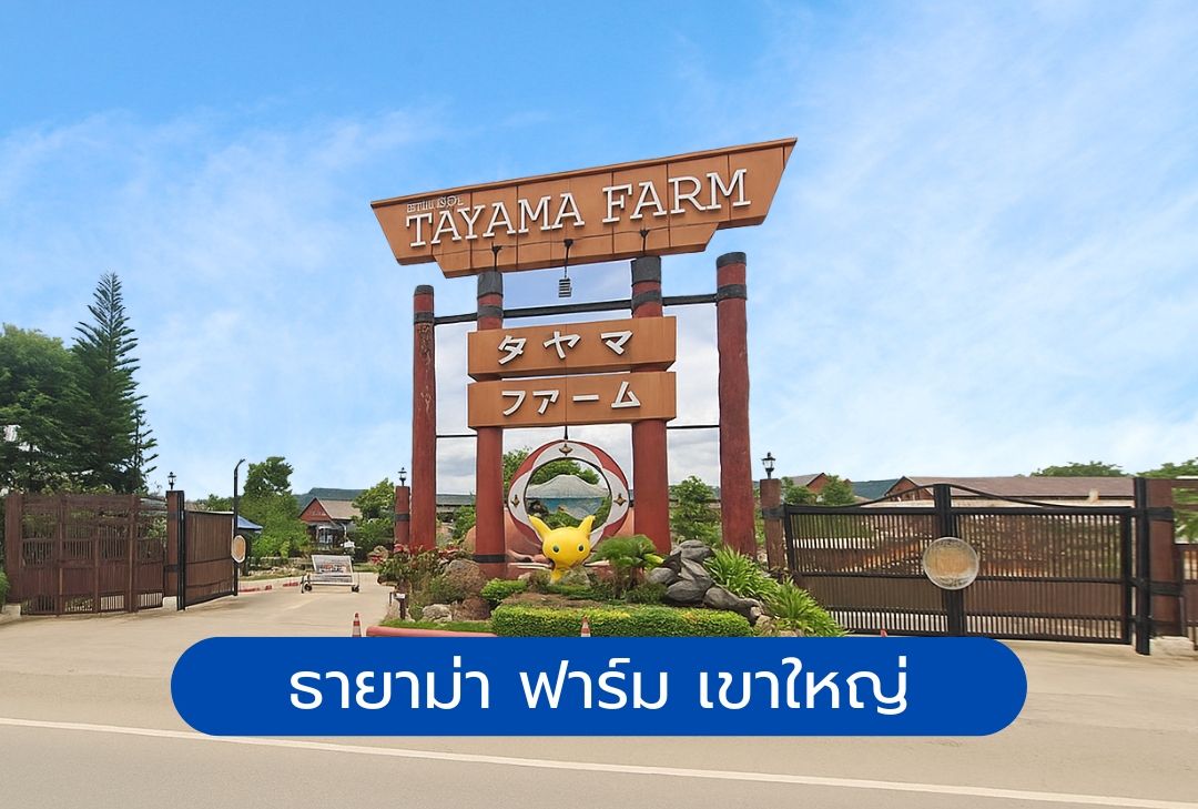ธายาม่า ฟาร์ม เขาใหญ่