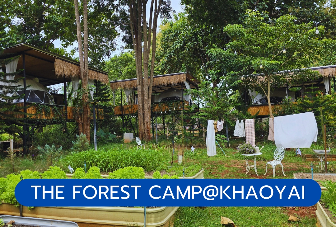 THE FOREST CAMP@KHAOYAI