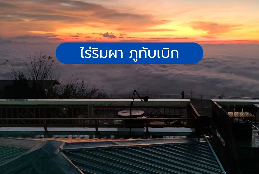 ไร่ริมผา ภูทับเบิก