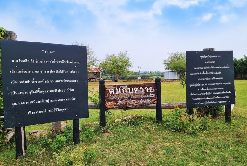 ศูนย์อนุรักษ์ควายทาม ภูผาม่าน ศูนย์อนุรักษ์ความยทาม ภูผาม่าน ขอนแก่น