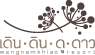 เดินดินดูดาว รีสอร์ท วังน้ำเขียว