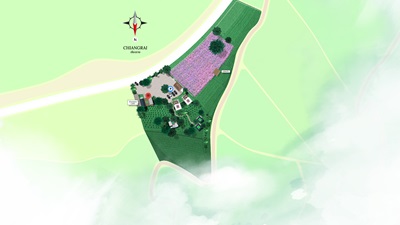 layout-ภูภพค่ำ ดอยช้าง